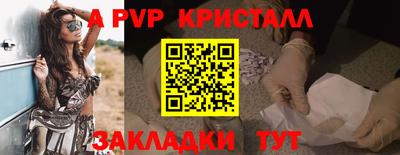 стафф Шебекино