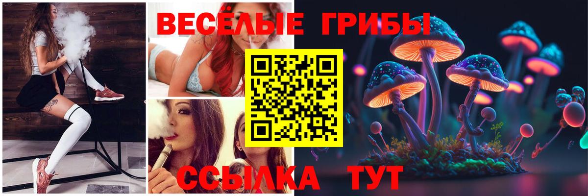 Костомукша  Галлюциногенные грибы Psilocybe  Псилоцибиновые грибы прущие грибы  Вход с VPN 